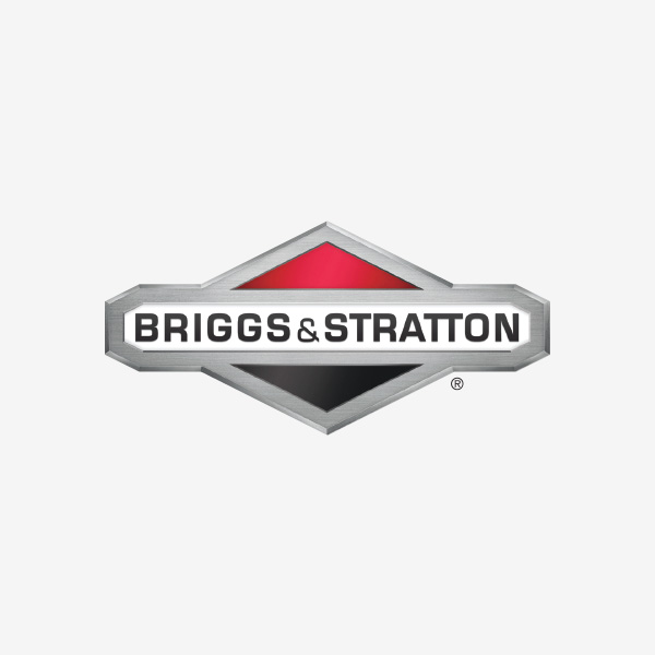 Briggs & Stratton